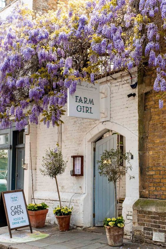 Restaurant facade in Notting Hill