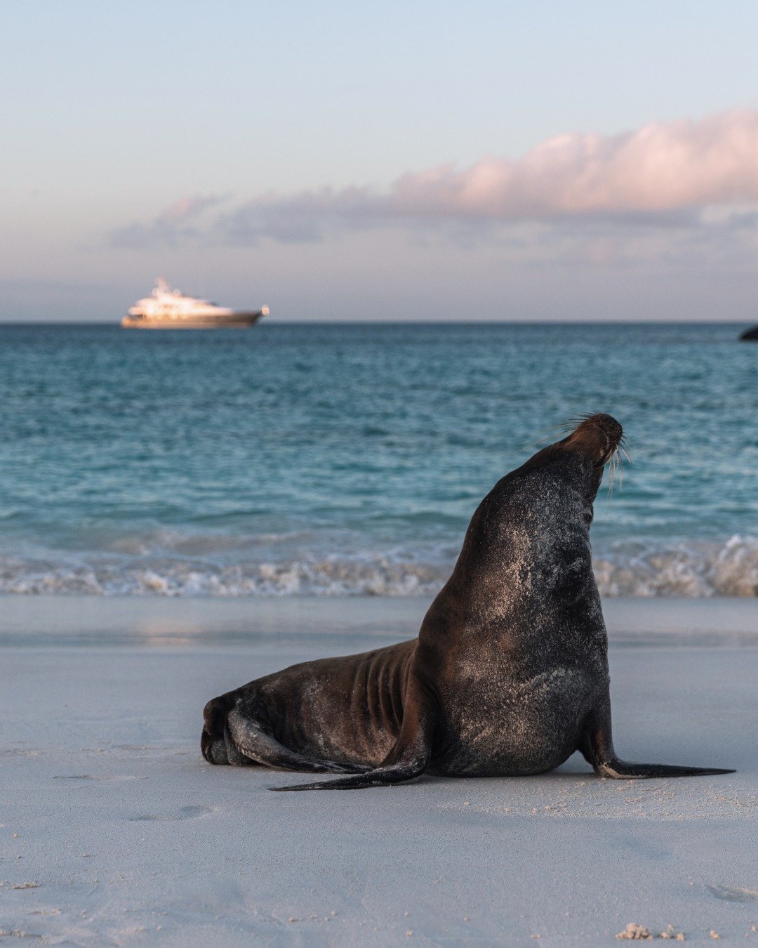 A prehistoric sanctuary unspoilt and sublime Komodo where ancient beauty meets island elegance Modalova