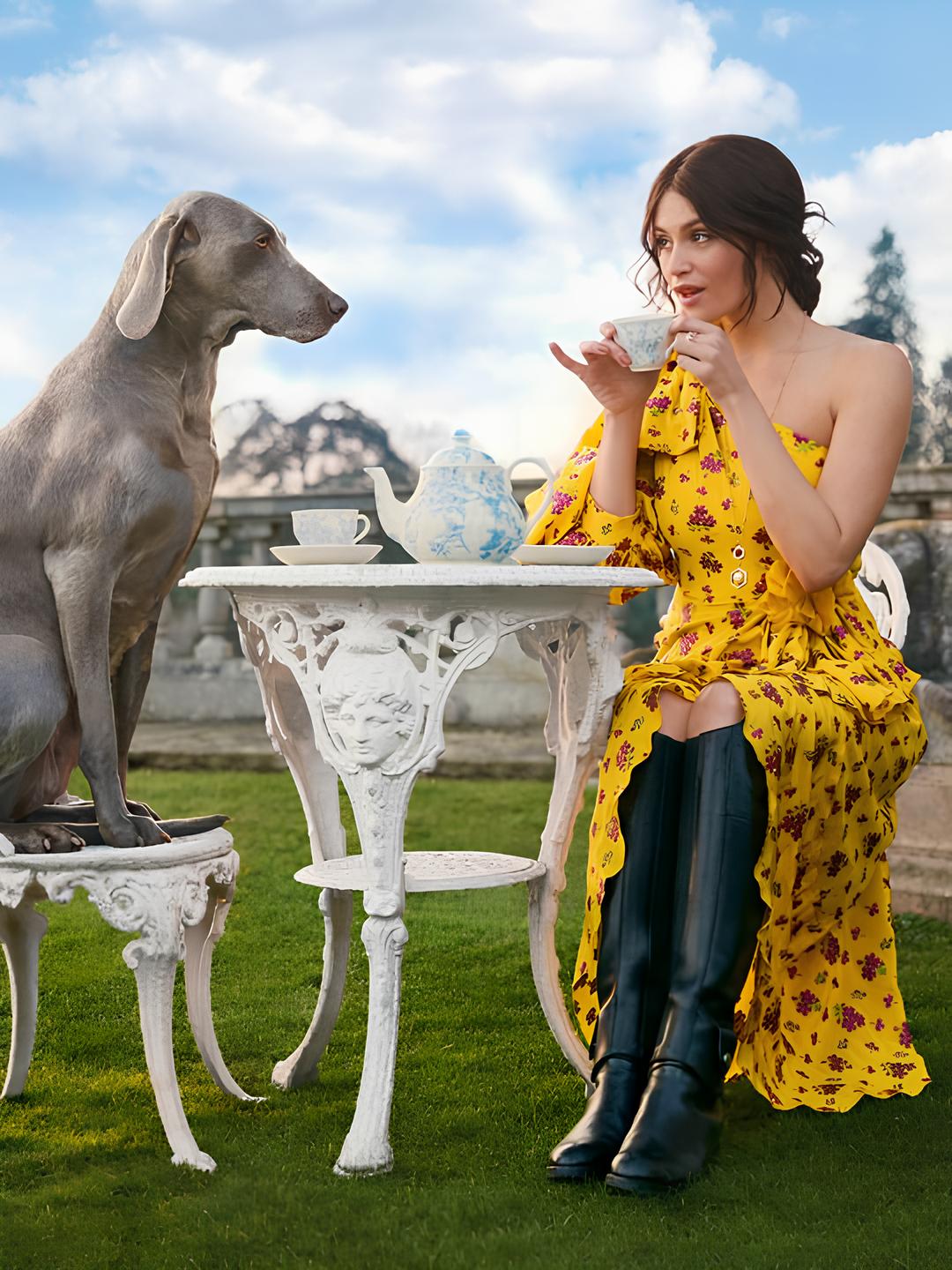 When celebrities give their pets a life of pure luxury Modalova