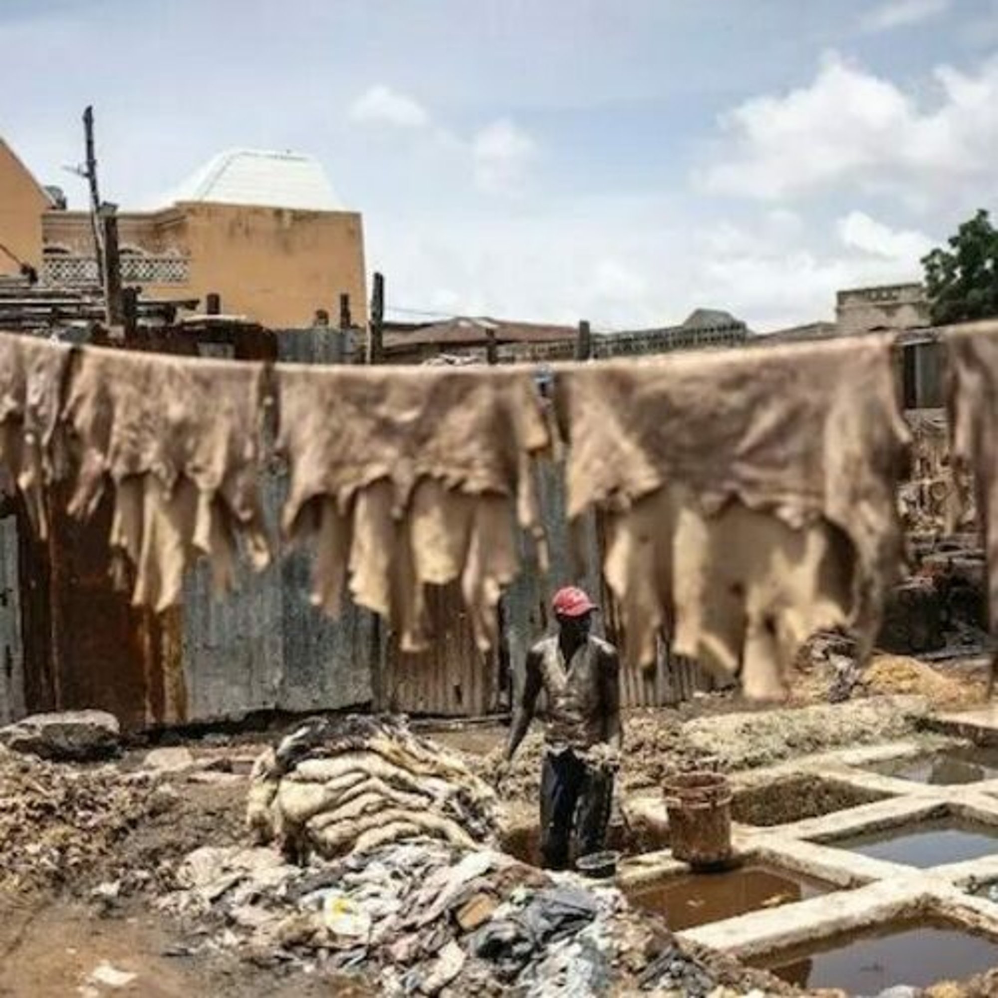 le cuir nigrian un hritage de luxe redcouvrir modalova