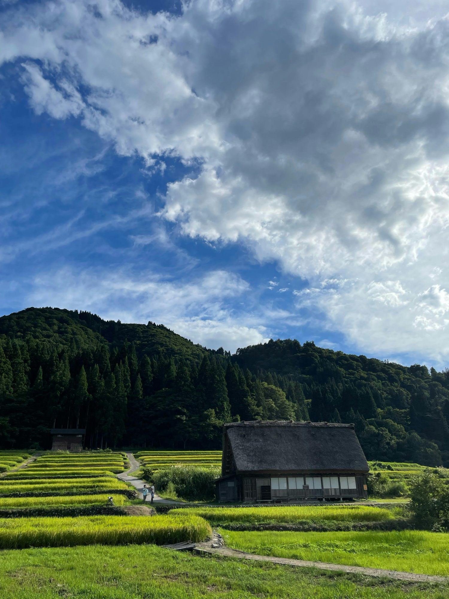Le Kansai rural Japon — lart du silence maitrise Ces lieux secrets ou le luxe voyage incognito Modalova
