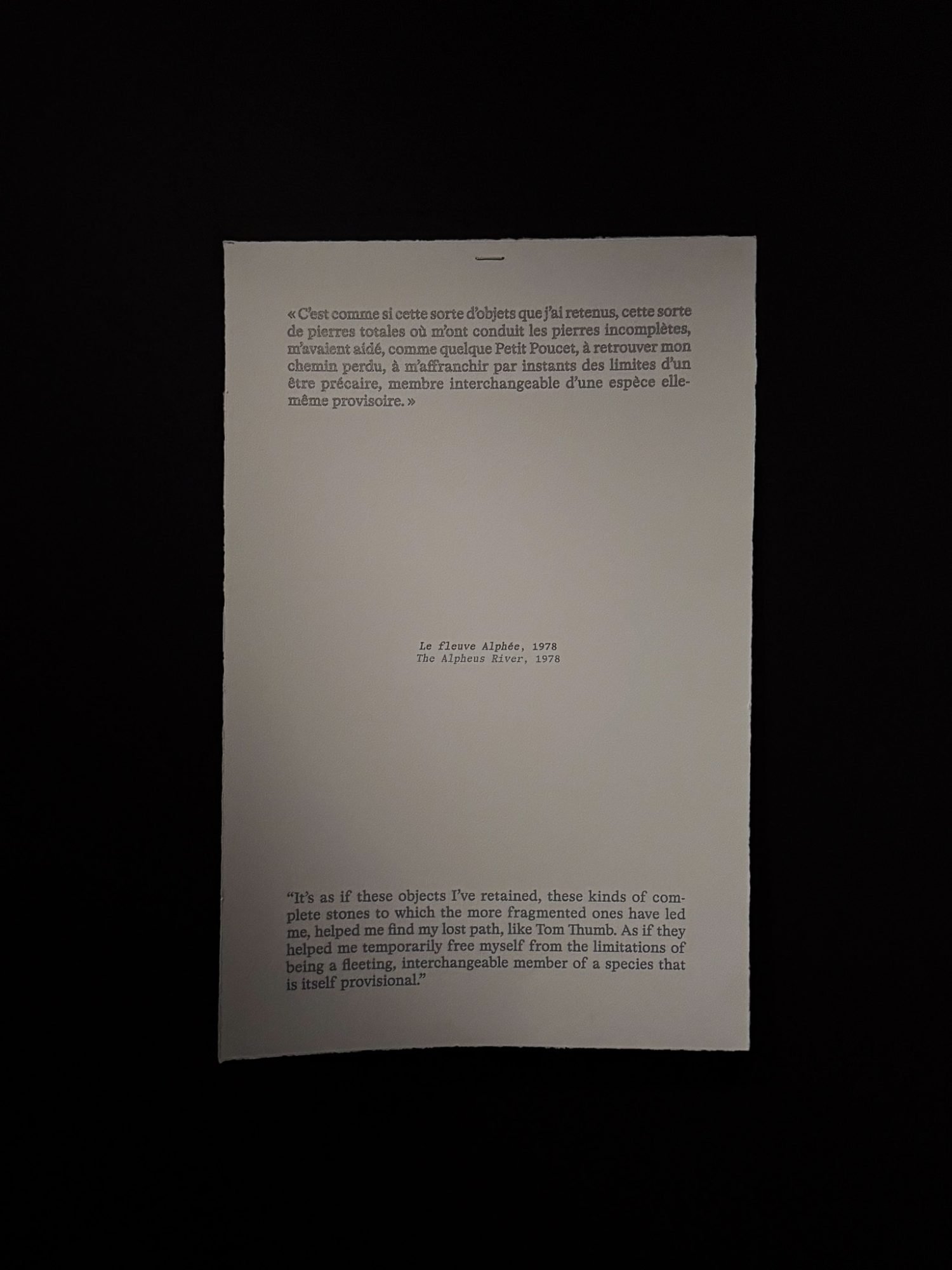 Stone Reveries: A Visit Between Poetry and Imagination 2 Text Septaria Roger Caillois at the exhibition Dreams of Stones