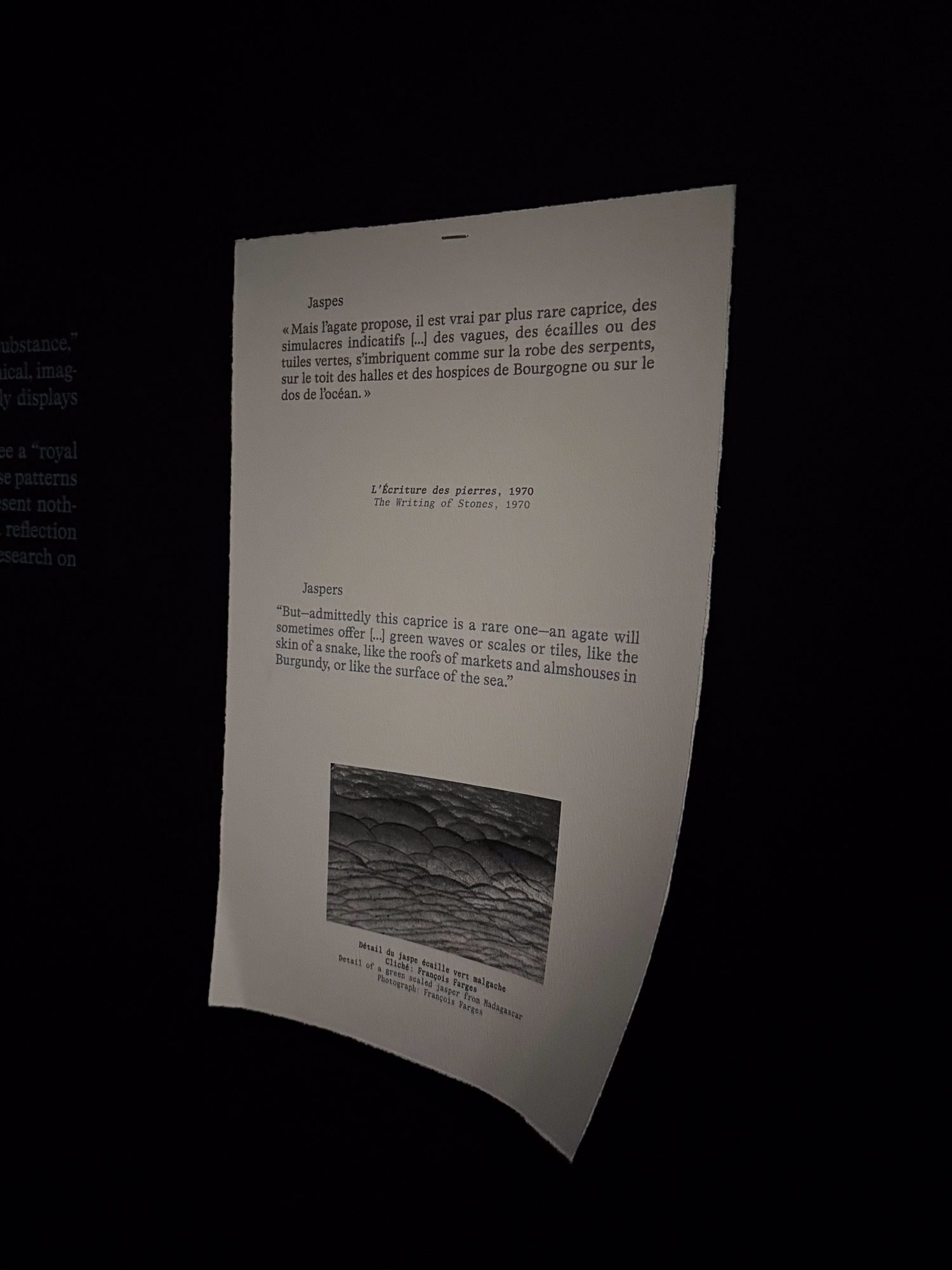Stone Reveries: A Visit Between Poetry and Imagination 6 Text jaspers Roger Caillois expo Dreams of Stones