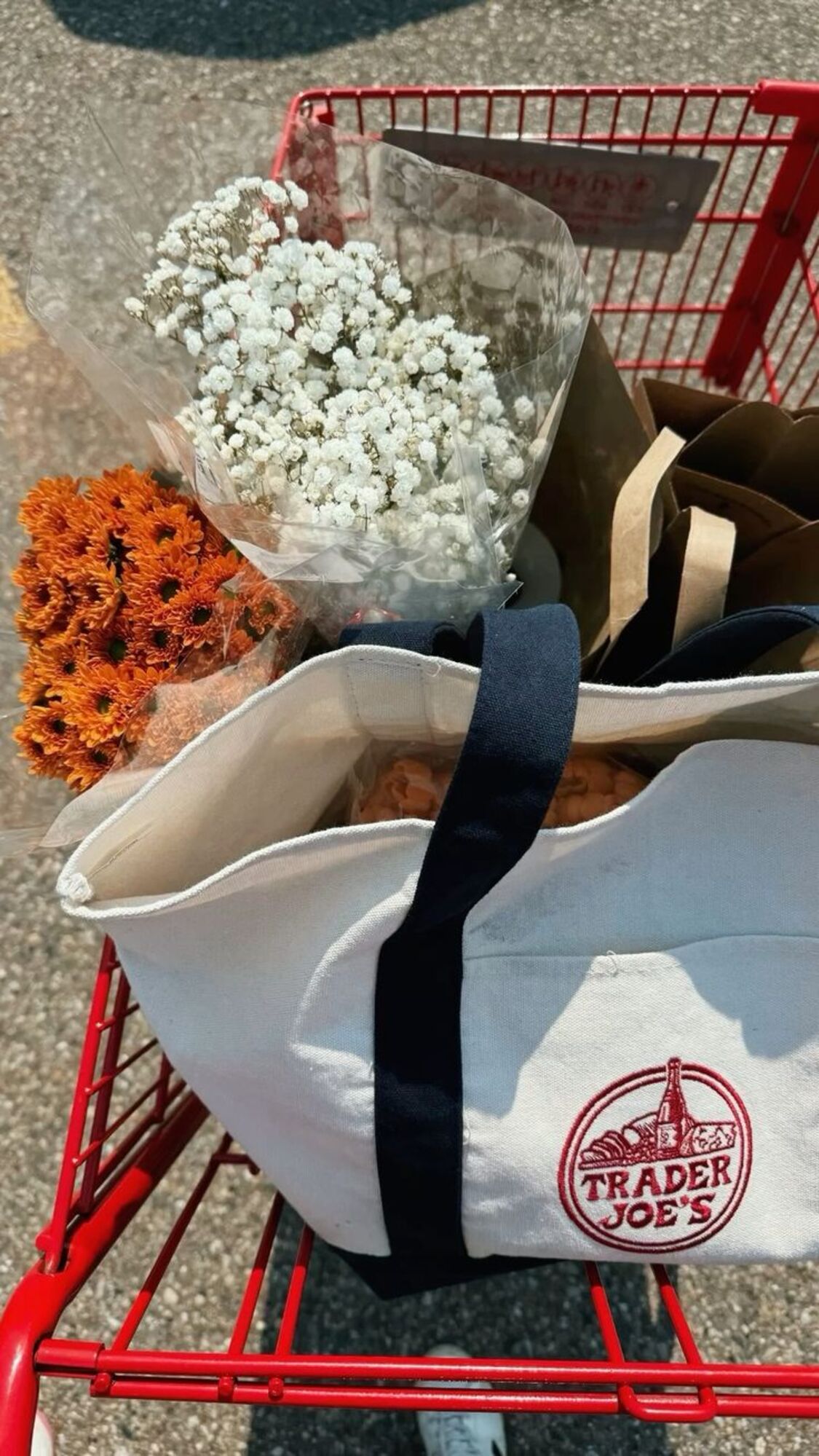 Succès du tote bag Trader Joe's tendance 2026