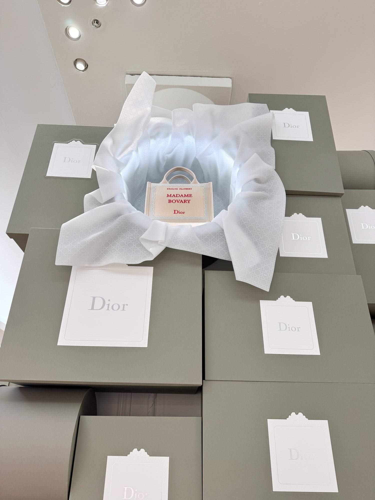 Last days to discover the Dior pop-up at Bon Marché 5 Dior Book Tote pop-up Le Bon Marché photo Pauline PINOT